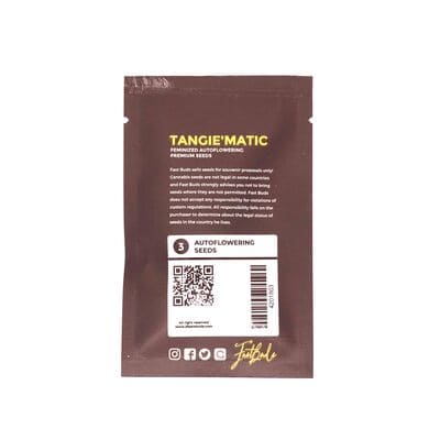 Tangie\'matic > Fast Buds Company | Autoflowering Cannabis   |  Sativa